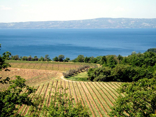 Above Lake Bolsena